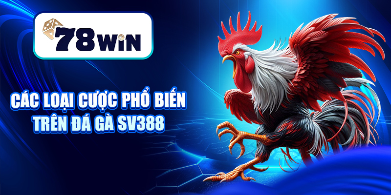 Đá Gà SV388 – Sân Chơi Chọi Gà Thomo, Cựa Dao Đỉnh Cao 7 Các loại cược phổ biến trên đá gà Sv388